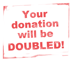 double-your-donation